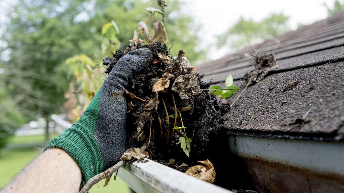 BC Mowing & More gutter cleaning services