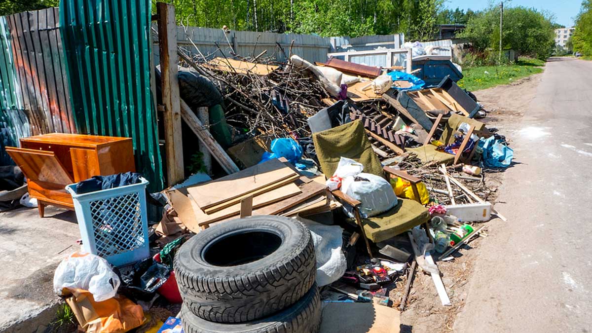 BC Mowing & More junk removal services