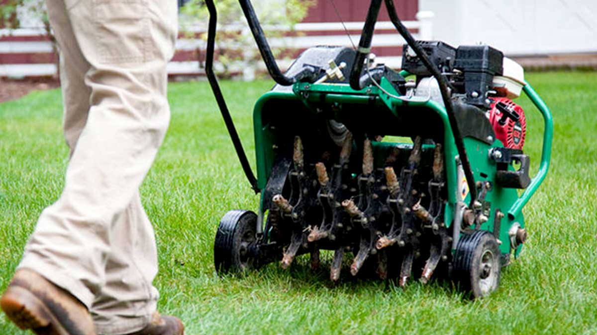 BC Mowing & More lawn aearation services