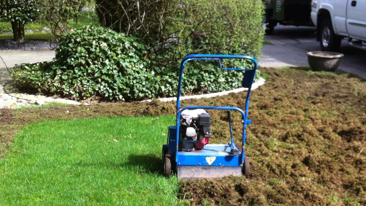 BC Mowing & More power raking services