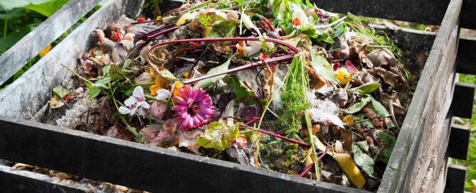 How to Set Up a Compost Bin