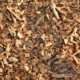 Harnessing the Benefits of Free Mulch from Autumn Leaves