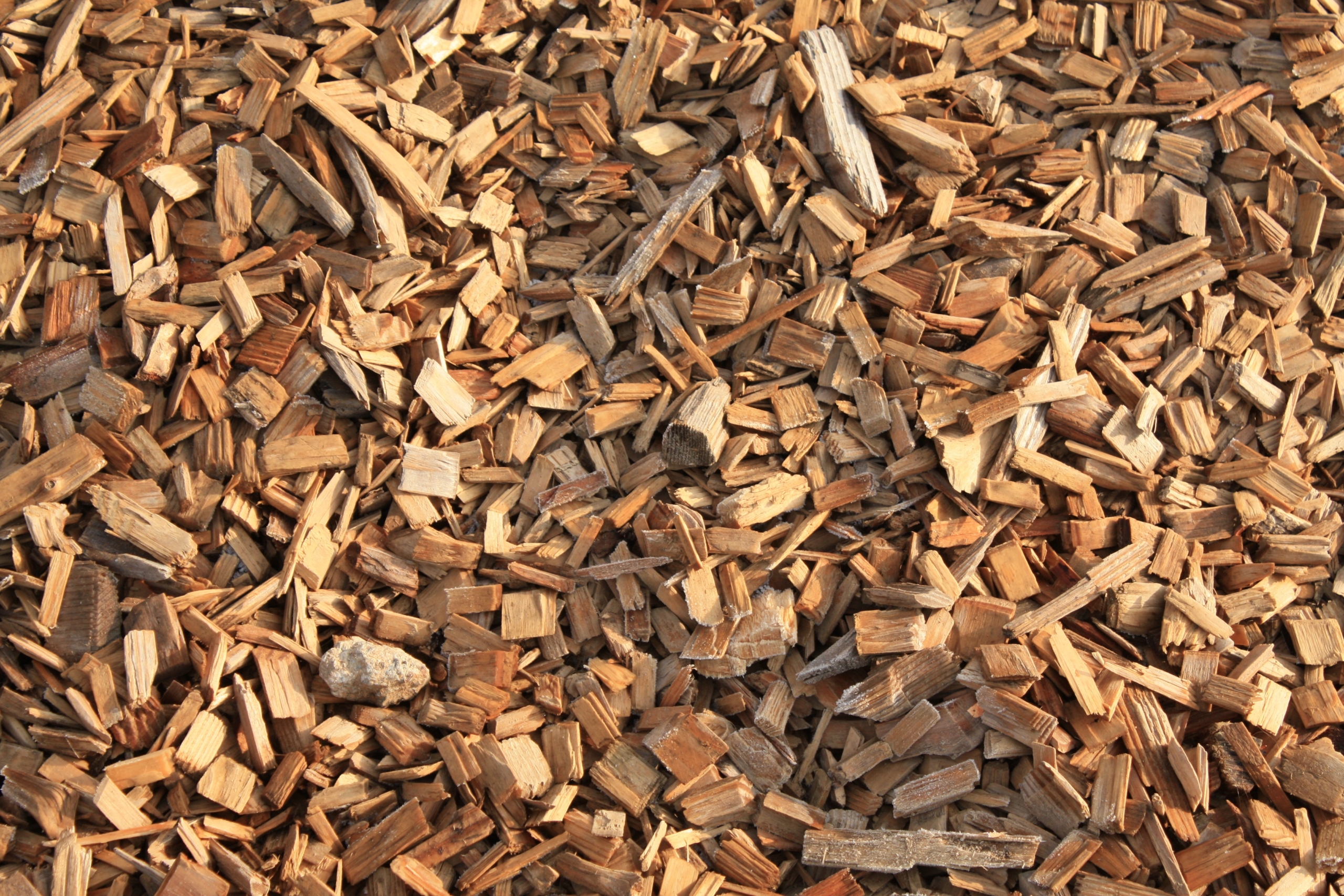 Harnessing the Benefits of Free Mulch from Autumn Leaves