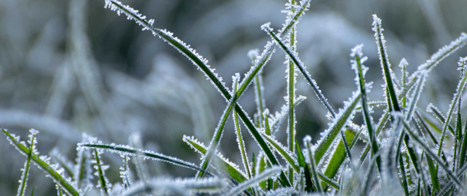 The Benefits of Aerating Your Lawn in Winter