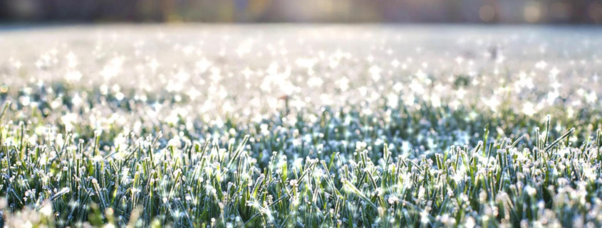 The Benefits of Aerating Your Lawn in Winter