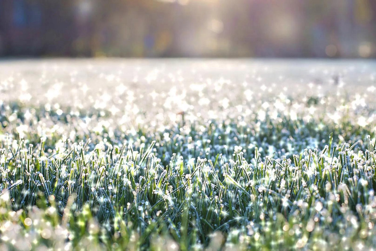 The Benefits of Aerating Your Lawn in Winter