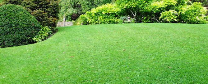 Benefits of Professional Lawn Care