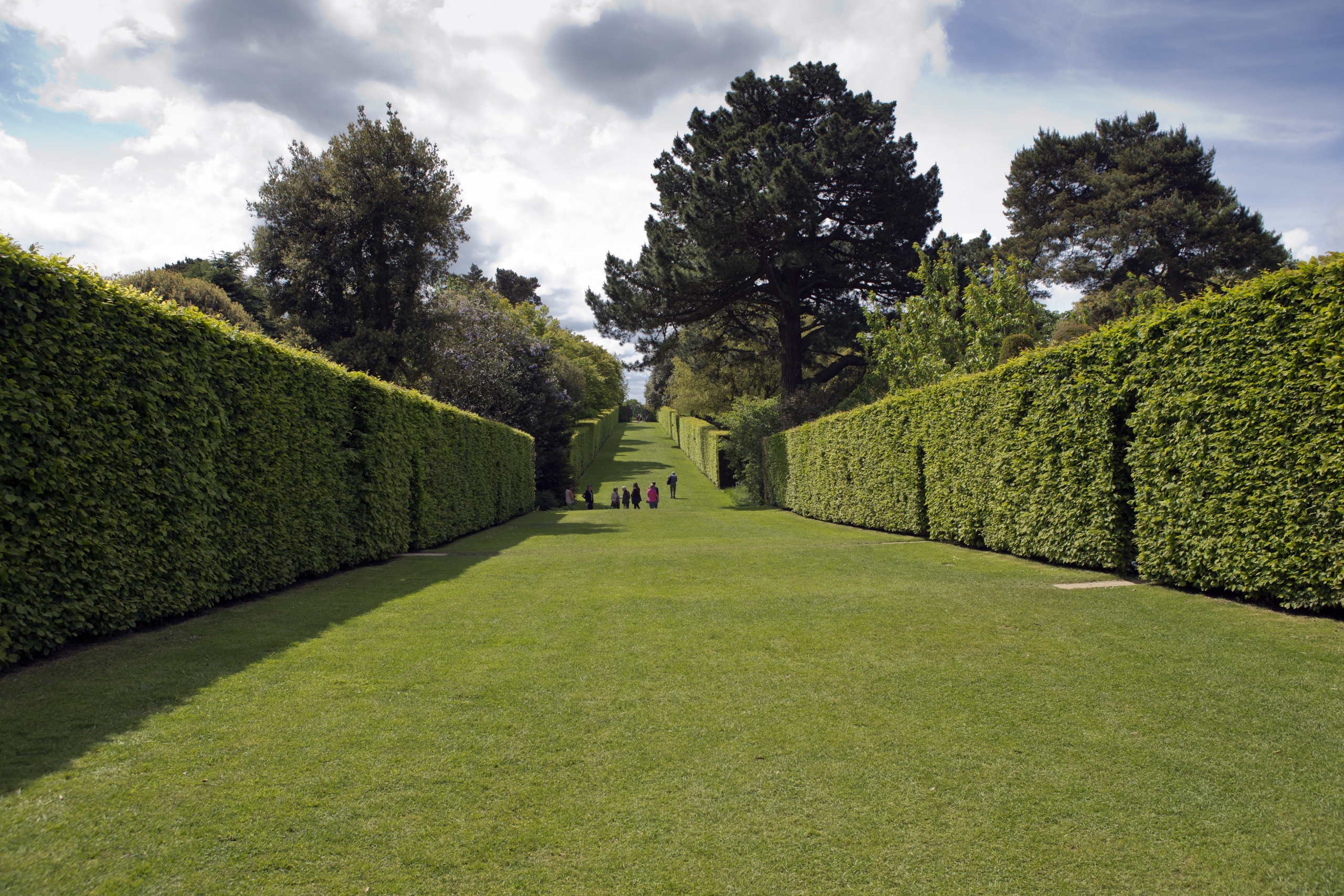 Correct Hedge Trimming and Cutting Techniques (3)