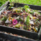 How to Set Up a Compost Bin