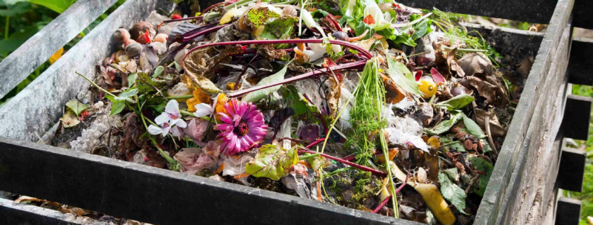 How to Set Up a Compost Bin