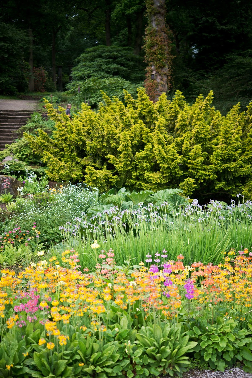 How to Look After Your Garden While You’re Away