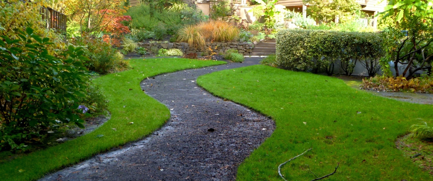 6 Ideas for Landscaping on a Budget (3)