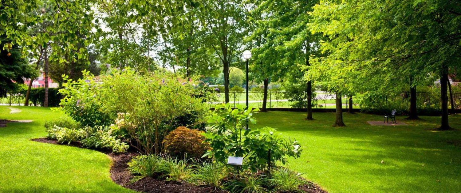 6 Ideas for Landscaping on a Budget (5)