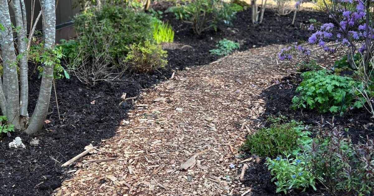 Bark Mulch: A Protective Blanket for Your Plants