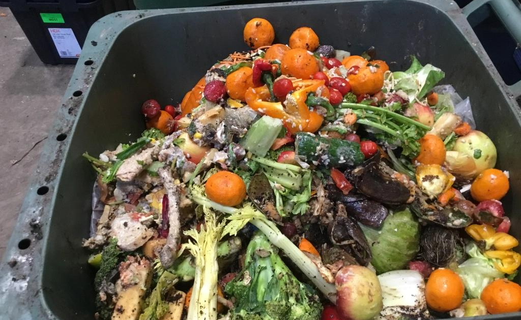 Compost and Recycle