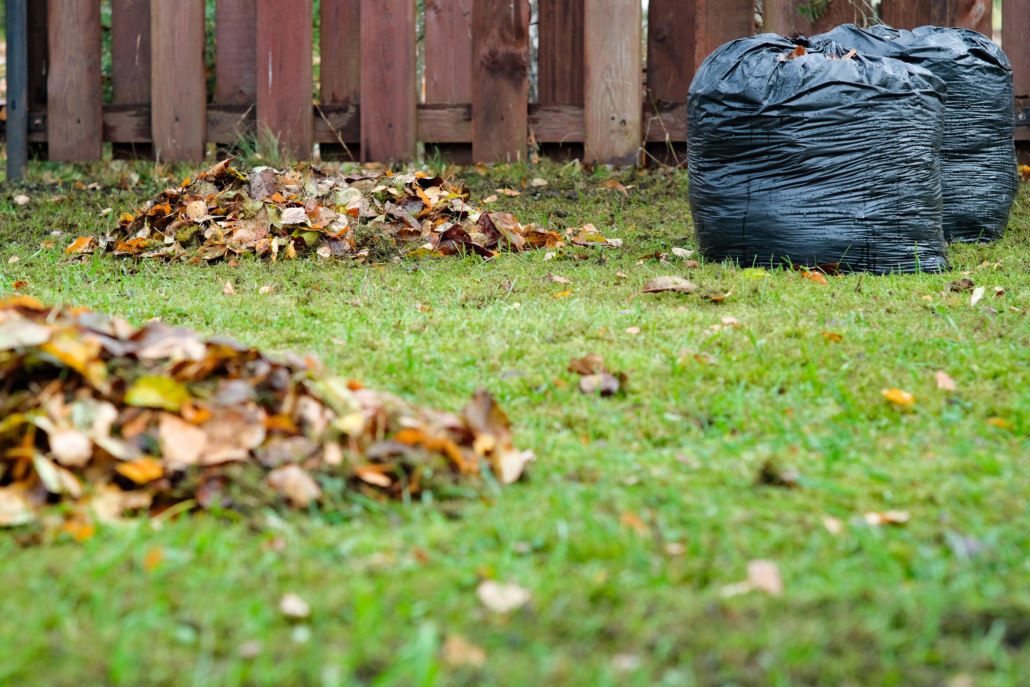 Fall Lawn Care in the Okanagan