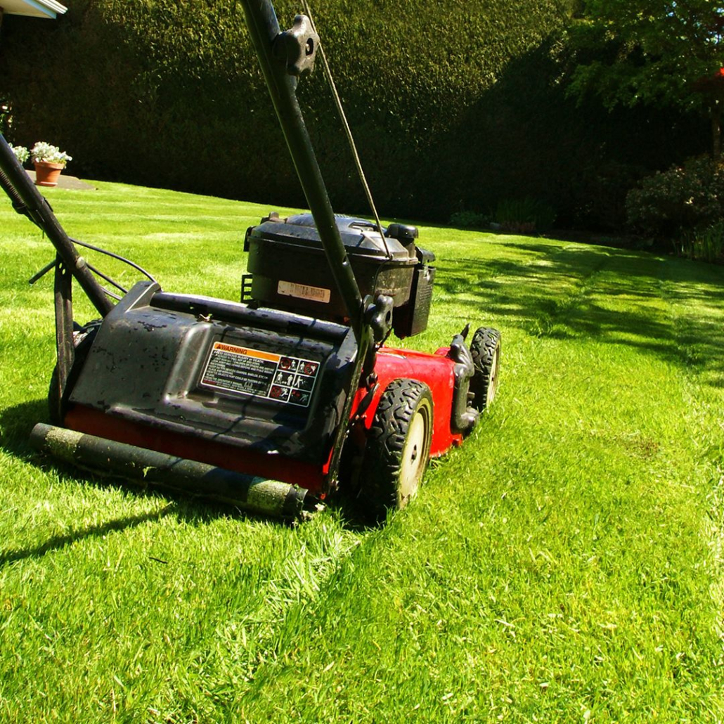 Summer Lawn Care on Vancouver Island