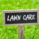 Seasonal Lawn Care Tips