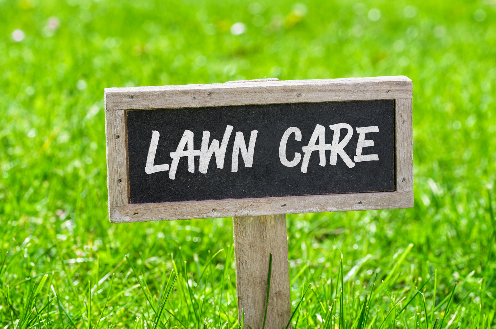 Seasonal Lawn Care Tips