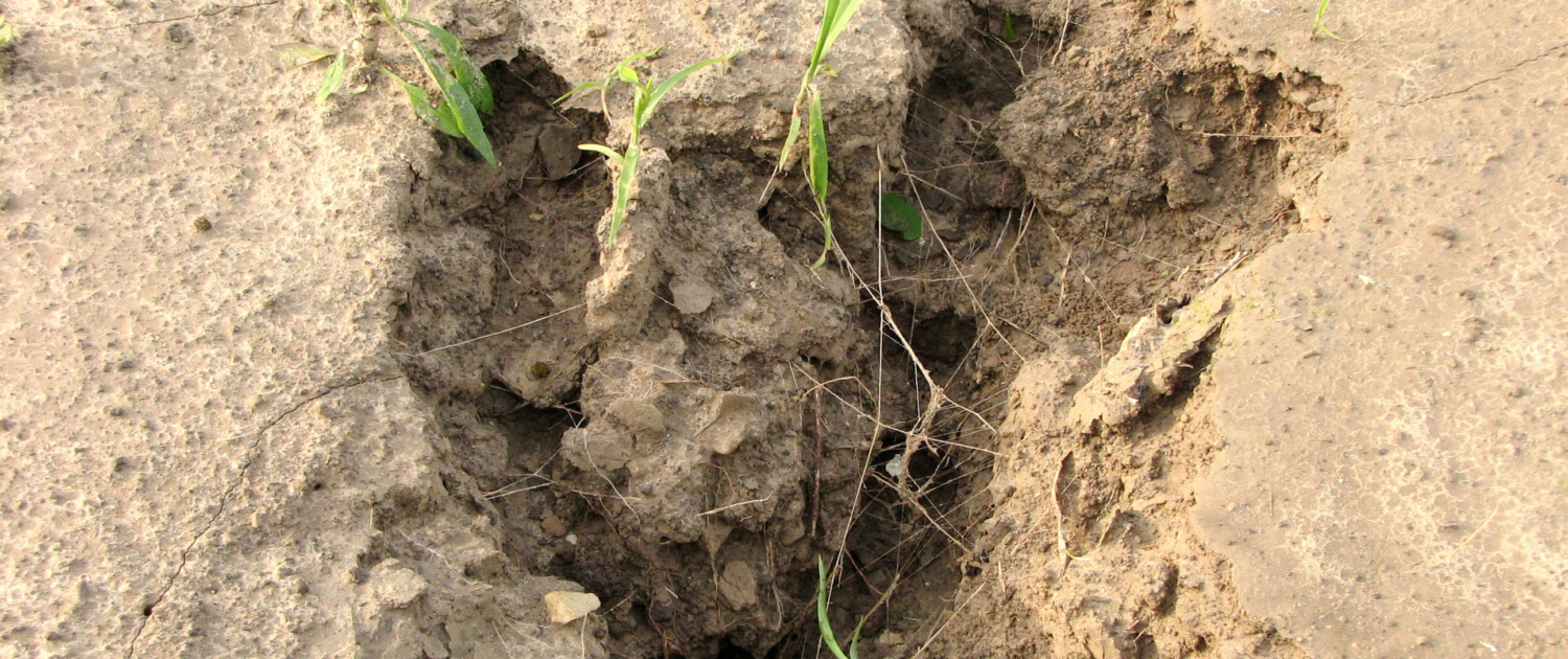 Erosion Prevention in Hilly Terrain