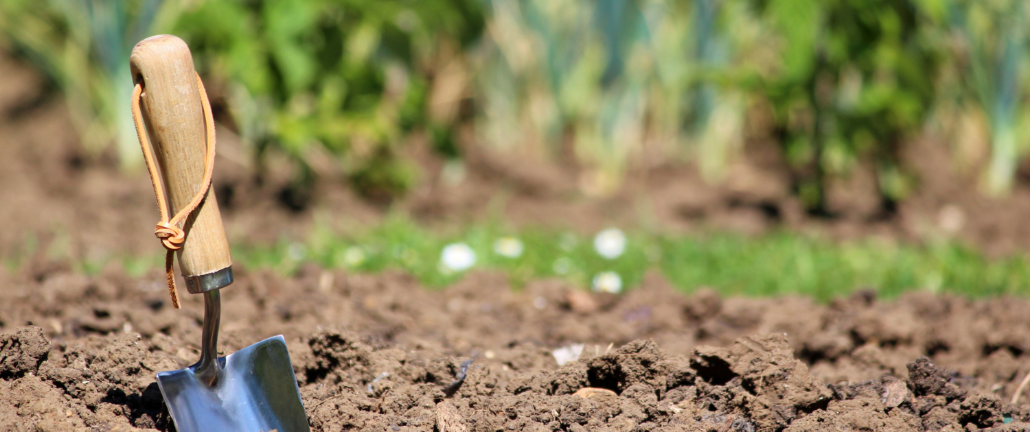 Soil Preparation 