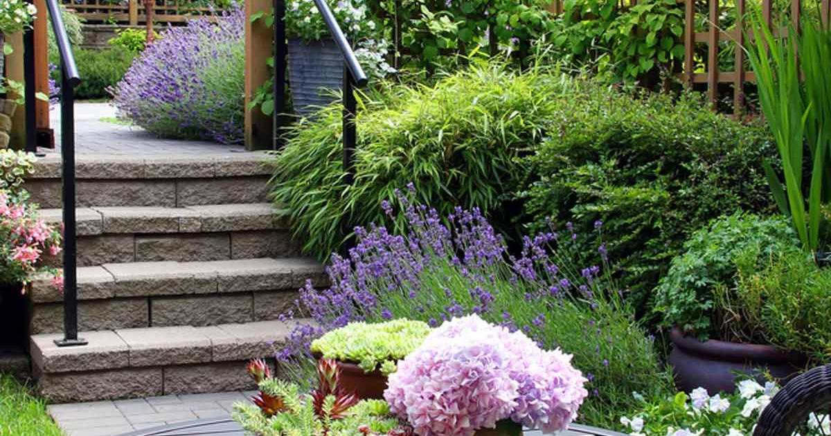 5 Essential Tips Every Gardener Should Know