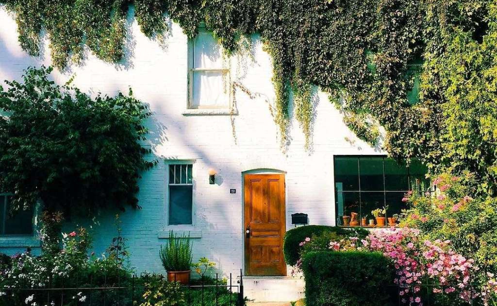 DIY Landscaping Ideas to Boost Curb Appeal