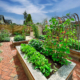 Eco-Friendly Gardening Sustainable Practices for Yard