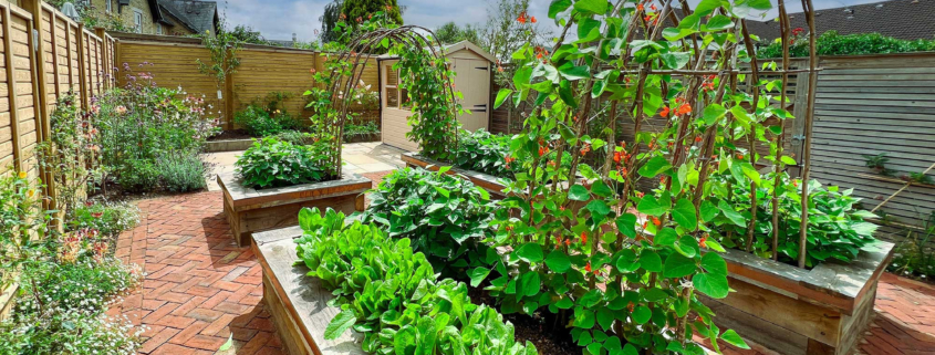 Eco-Friendly Gardening Sustainable Practices for Yard