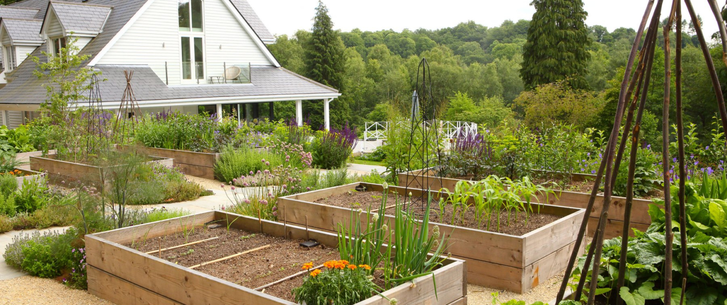 Eco-Friendly Gardening Sustainable Practices for Your Yard