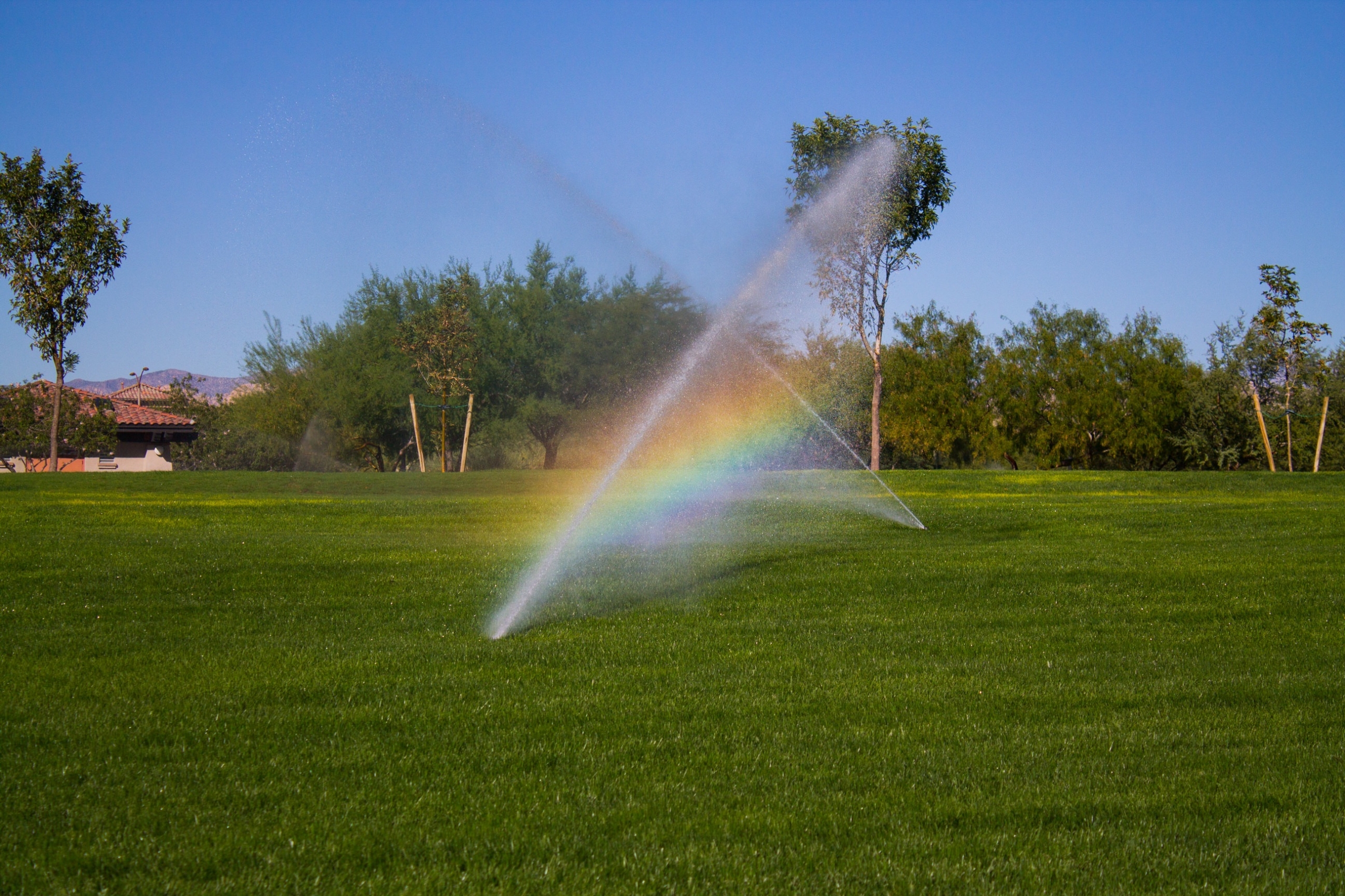 How to Improve Your Lawn for Under $1000