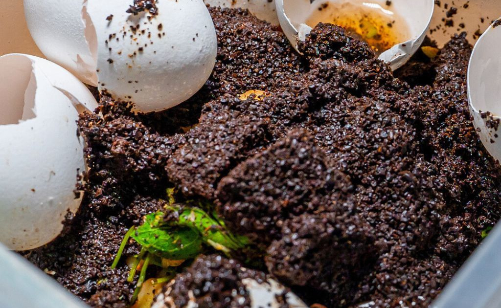 Mastering Compost Turn Kitchen Waste into Garden Gold