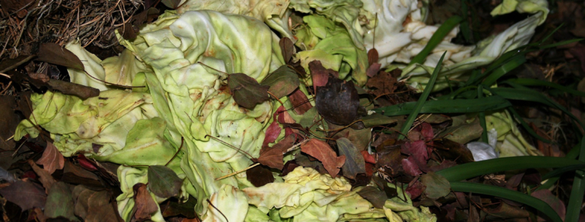 Mastering Compost Turn Kitchen Waste into Garden Gold (3)