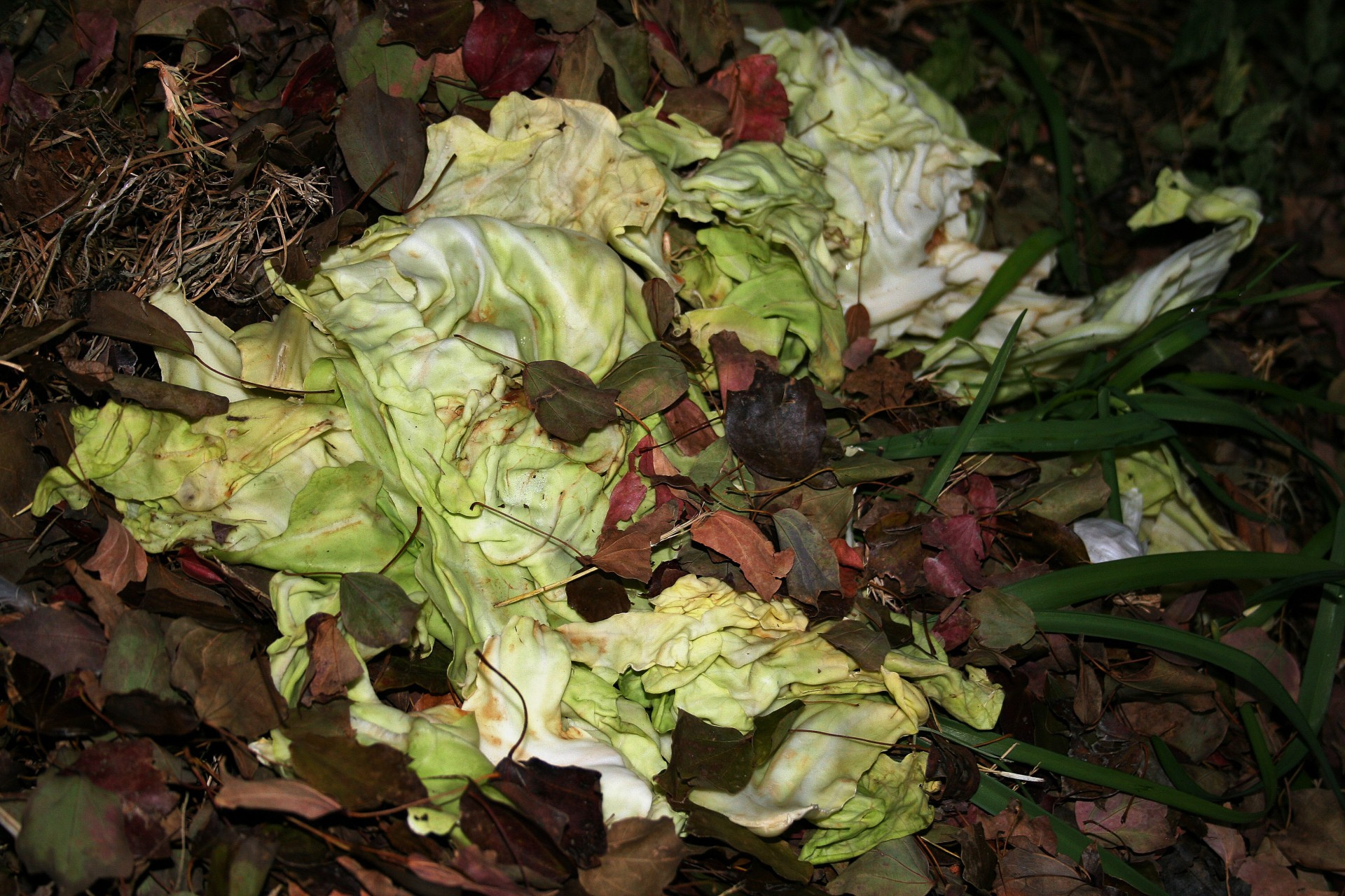 Mastering Compost Turn Kitchen Waste into Garden Gold (3)