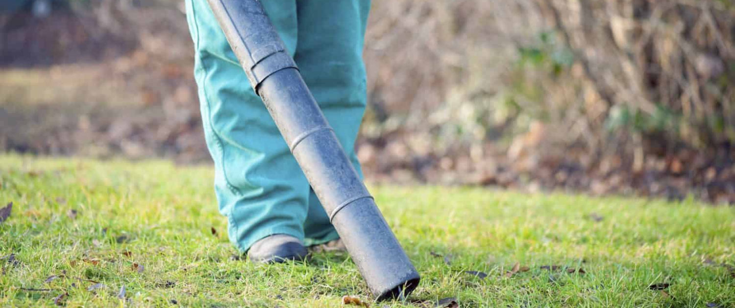 Should You Mow Before or After You Blow Off Your Lawn