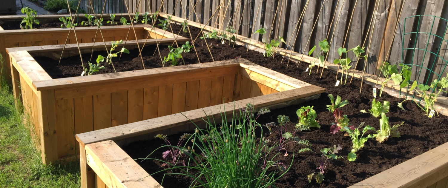 The Benefits of Raised Bed Gardening Why You Should Try It (3)