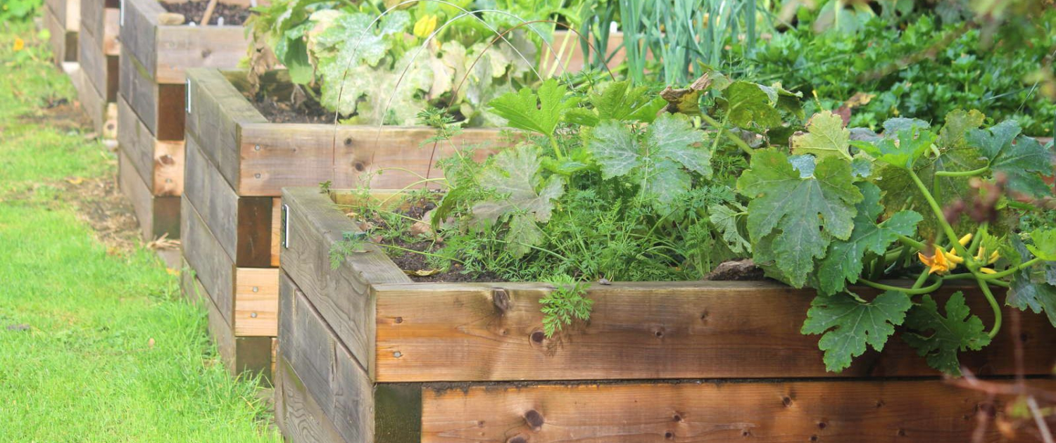 The Benefits of Raised Bed Gardening Why You Should Try It (4)