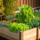 The Benefits of Raised Bed Gardening Why You Should Try It