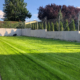 Transform Your Lawn 10 Essential Tips for a Lush, Green Yard (1)