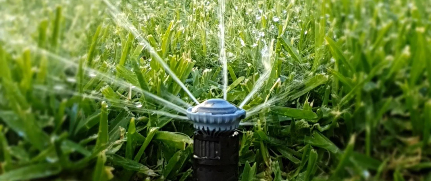 Watering is the Lifeblood of Your Home’s Lawn (4)